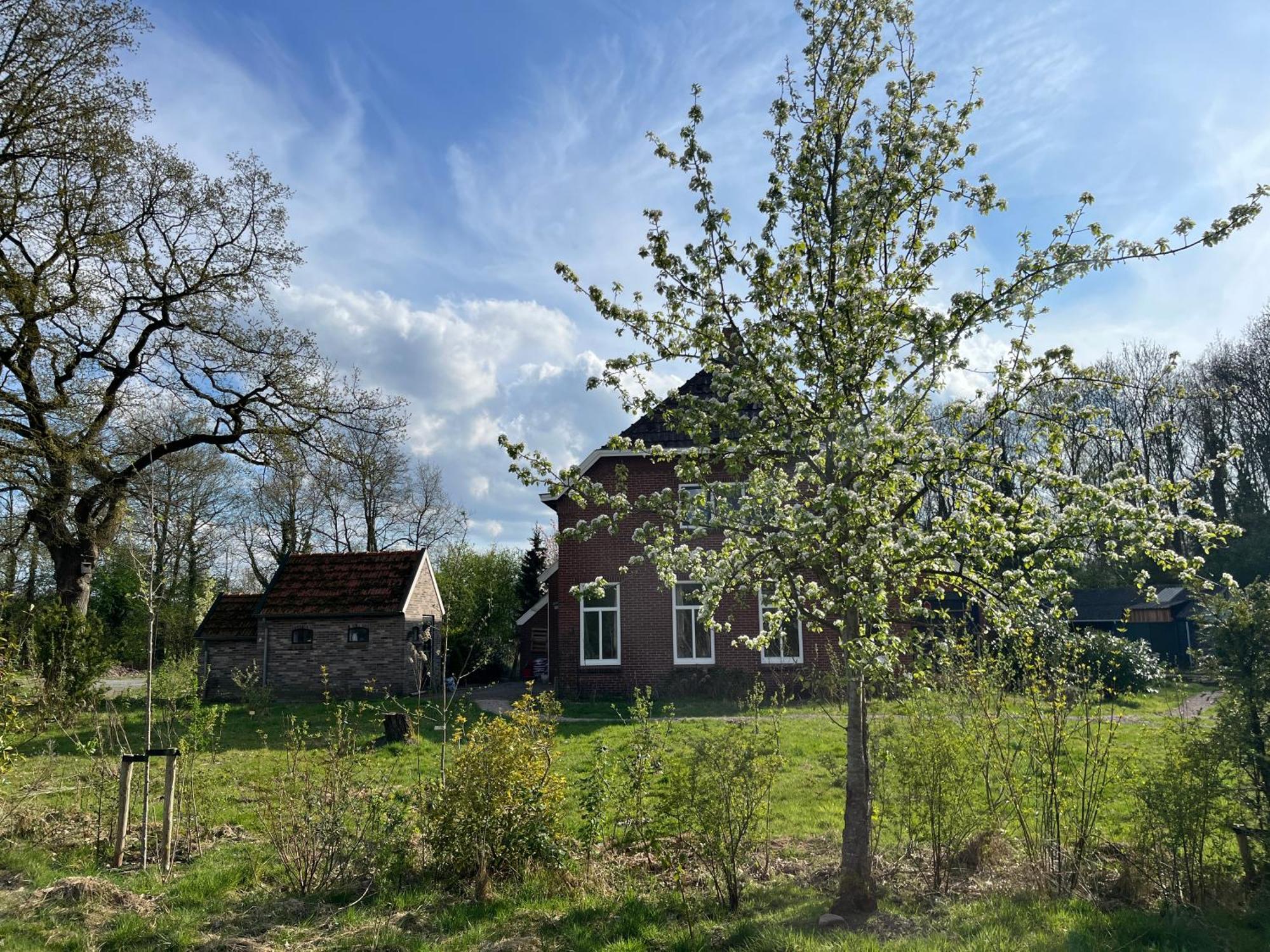 Hoeve Veganza B&B Vlagtwedde Exterior photo
