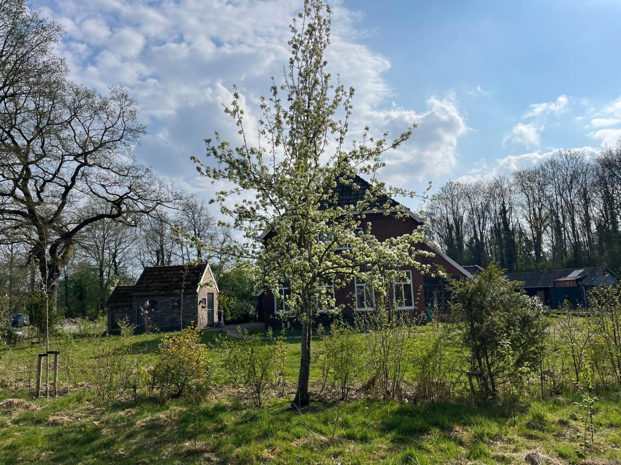 Hoeve Veganza B&B Vlagtwedde Exterior photo